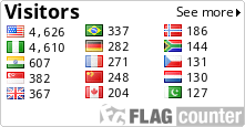 Visitors Flag Counters